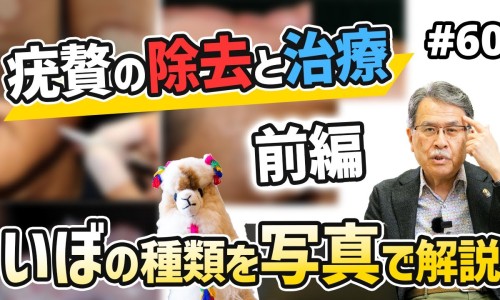 伟哥的用法与用量-伟哥的吃法和用量网 - 为你提供伟哥的吃法和注意事项、伟哥的使用说明